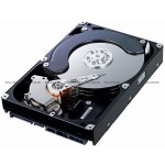 Жесткий диск 300GB 15K DP 6G NHP (623389-001)
