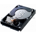 Жесткий диск 900GB 10K SAS SFF (730454-004)