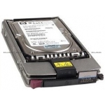Жесткий диск HP 300GB 1