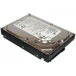 Жесткий диск HP 250 GB 1.5G SATA 7.2 rmp, 3.5 inch, LFF Hot-Plug Drive [ST3250624AS] (ST3250624AS)