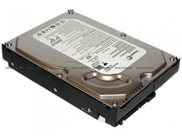 Жесткий диск HP 250 GB 1.5G SATA 7.2 rmp, 3.5 inch, LFF Hot-Plug Drive [ST3250624AS] (ST3250624AS). Изображение #1