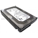 Жесткий диск HP 250 GB 1.5G SATA 7.2 rmp, 3.5 inch, LFF Hot-Plug Drive [ST3250620NS] (ST3250620NS)