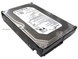 Жесткий диск HP 250 GB 1.5G SATA 7.2 rmp, 3.5 inch, LFF Hot-Plug Drive [ST3250620NS] (ST3250620NS). Изображение #1