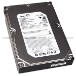 Жесткий диск HP 750 GB 1.5G SATA 7.2k rpm, 3.5 inch, LFF Hot-Plug Drive [ST3750640NS] (ST3750640NS)